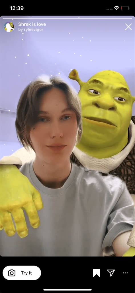 To apply a movie <strong>filter</strong> on TikTok, open the app and go to the “<strong>Filters</strong>” section. . Shrek kissing filter instagram